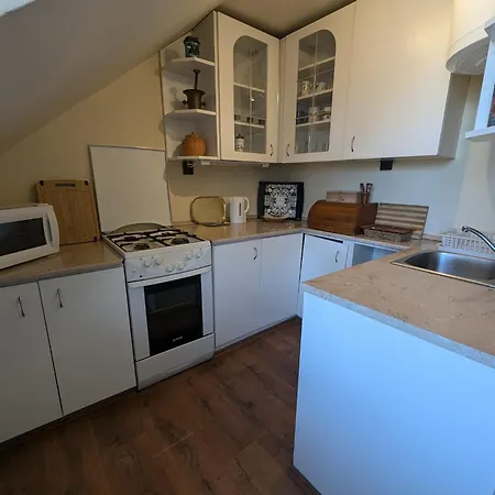 Family By Budapest Göd