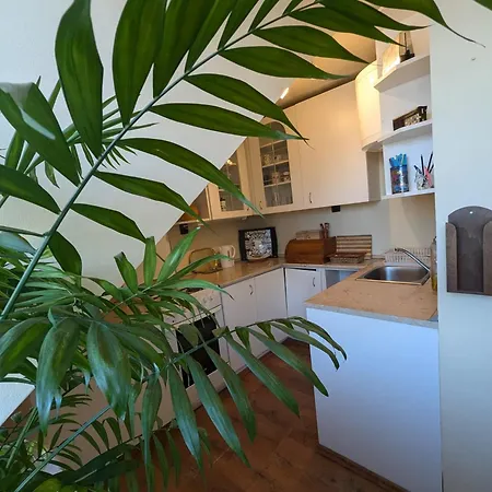 Family By Budapest *